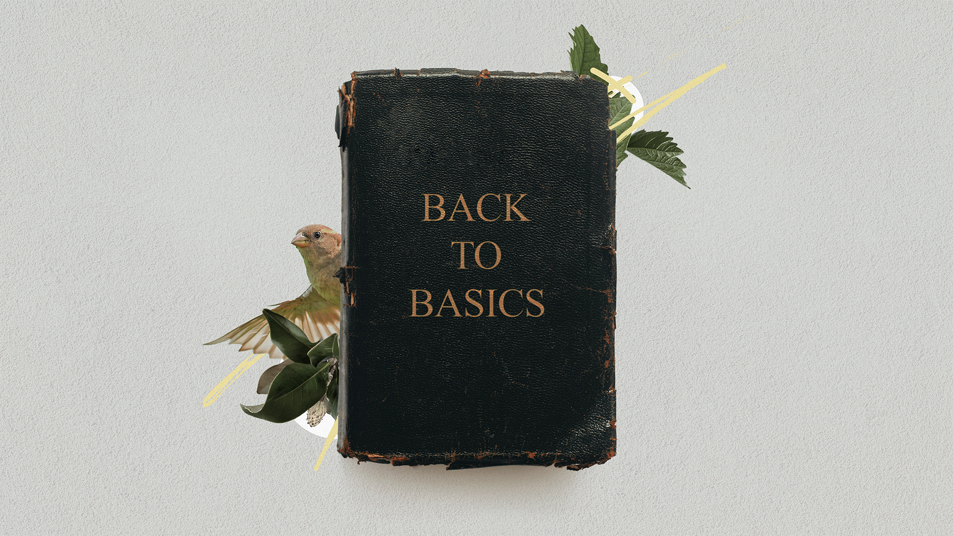 BACK TO BASICS